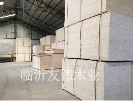 包裝板生蟲應(yīng)該怎么辦？