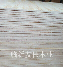 防腐托盤板，托盤中的“皇者”